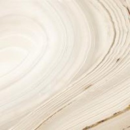 Gạch Trường Thịnh AGATA BJ88032LEV-R